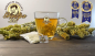 Preview: Griechischer BIO Bergtee (Tsai Bounou) Sideritis